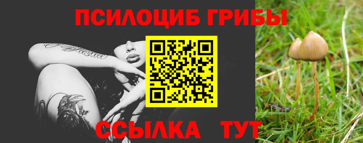 Псилоцибиновые грибы ЛСД Урай